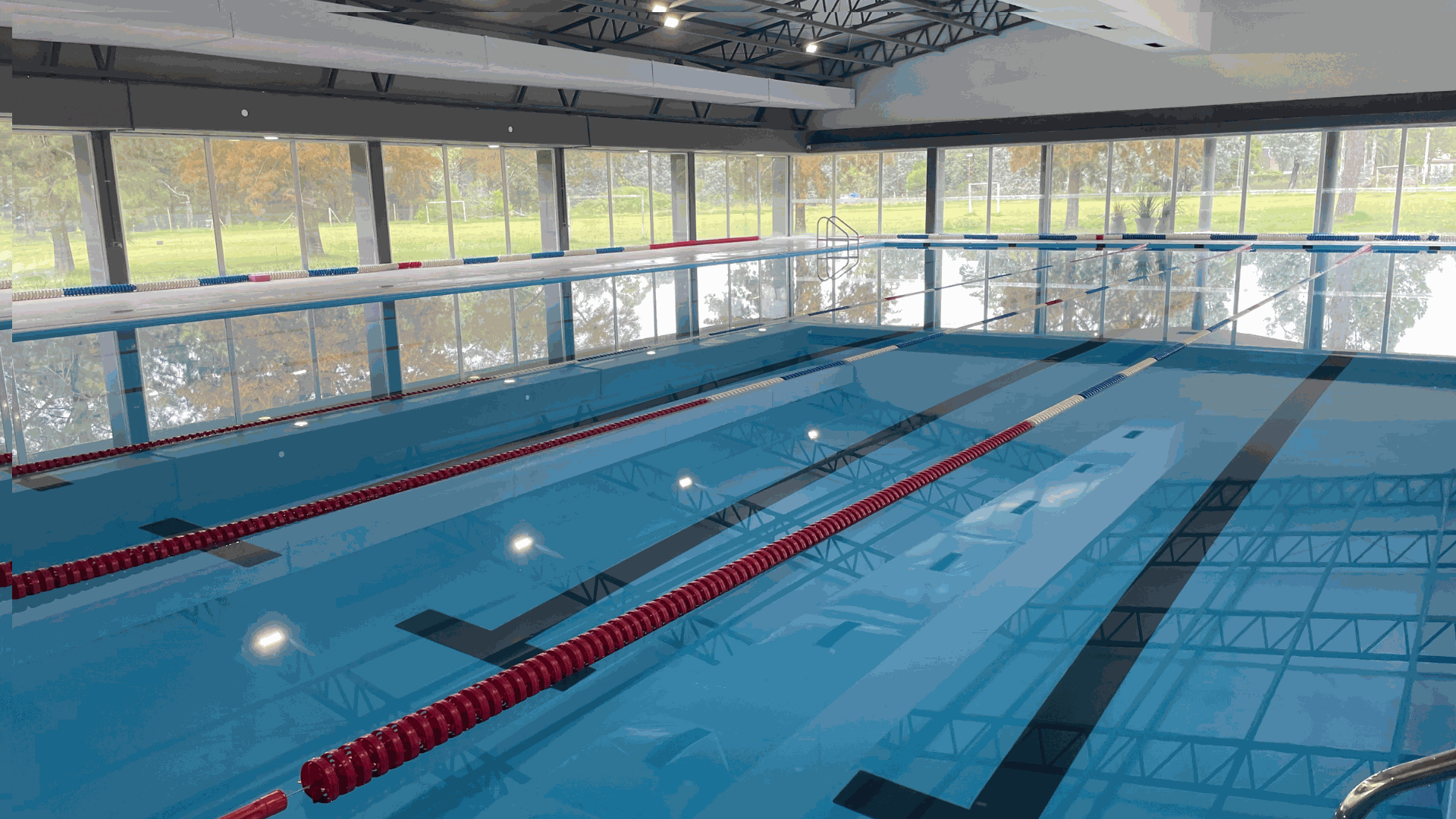 Odoo • Imagen y texto